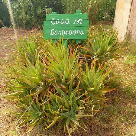 Casa In Campagna San Giovanni Suergiu